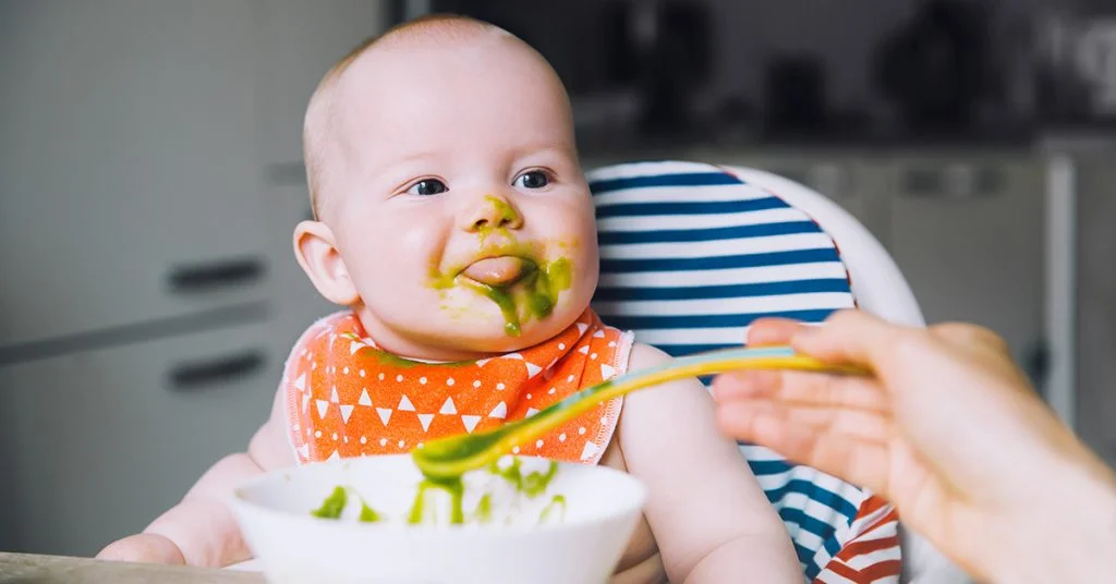 Bébé commençant la diversification alimentaire avec une purée de légumes à la cuillère