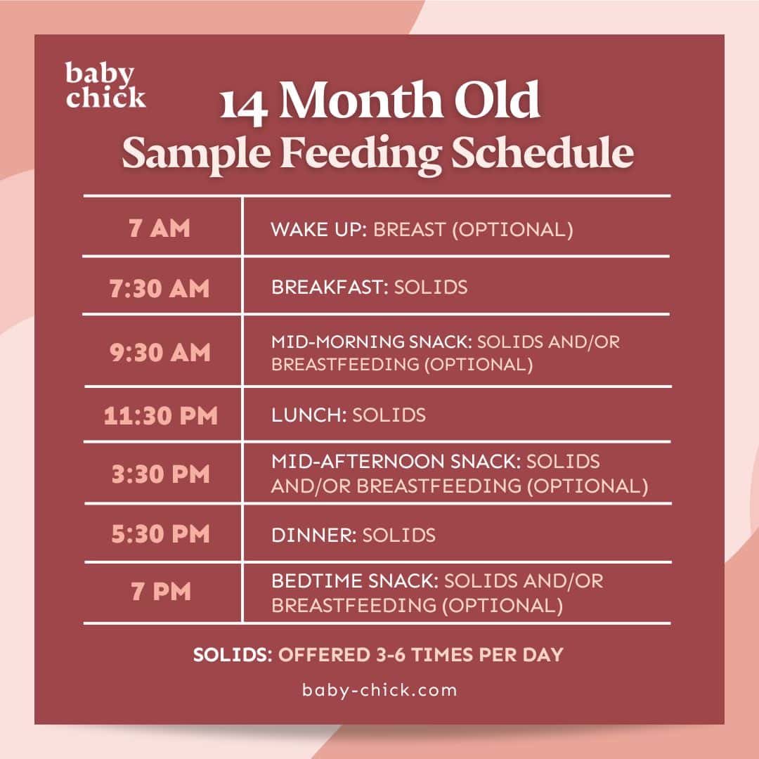 Exemple de planning alimentaire bébé 14 mois