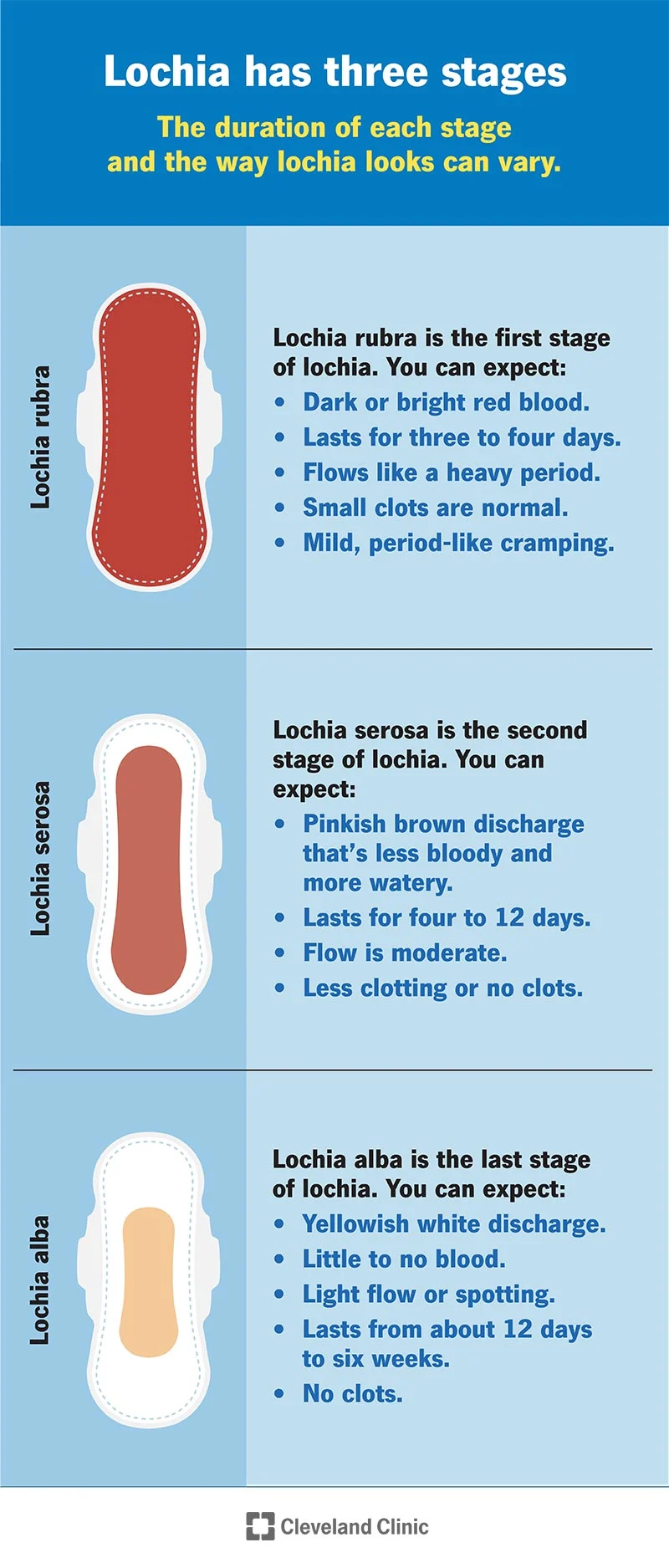 Infographie des différentes étapes des lochies post-partum