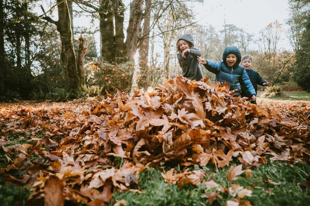 sorties famille automne, éveil enfant 2 ans, idées playdate parents, balade nature enfant