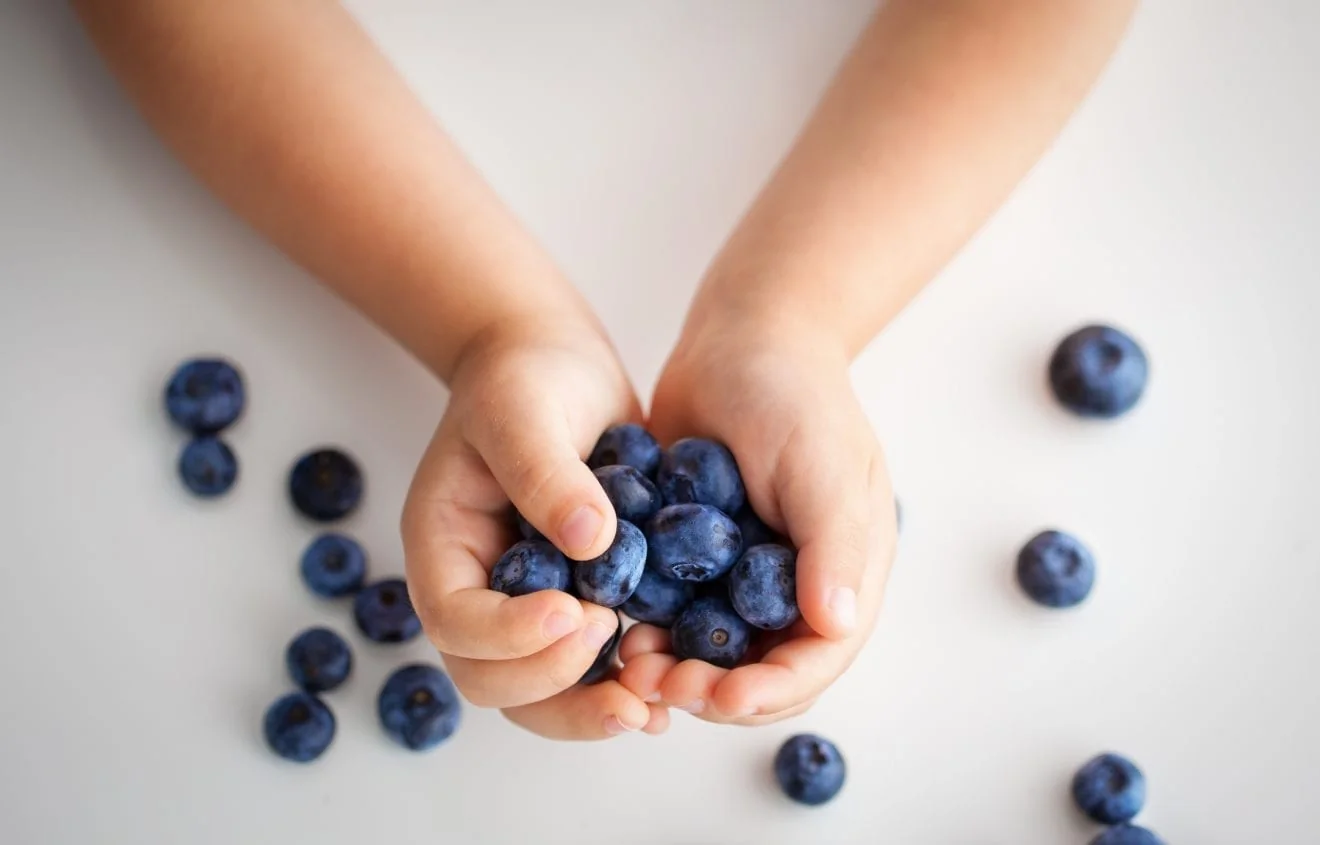 nutrition enfant, recettes saines, oméga-3 enfant, concentration petit, développement cognitif