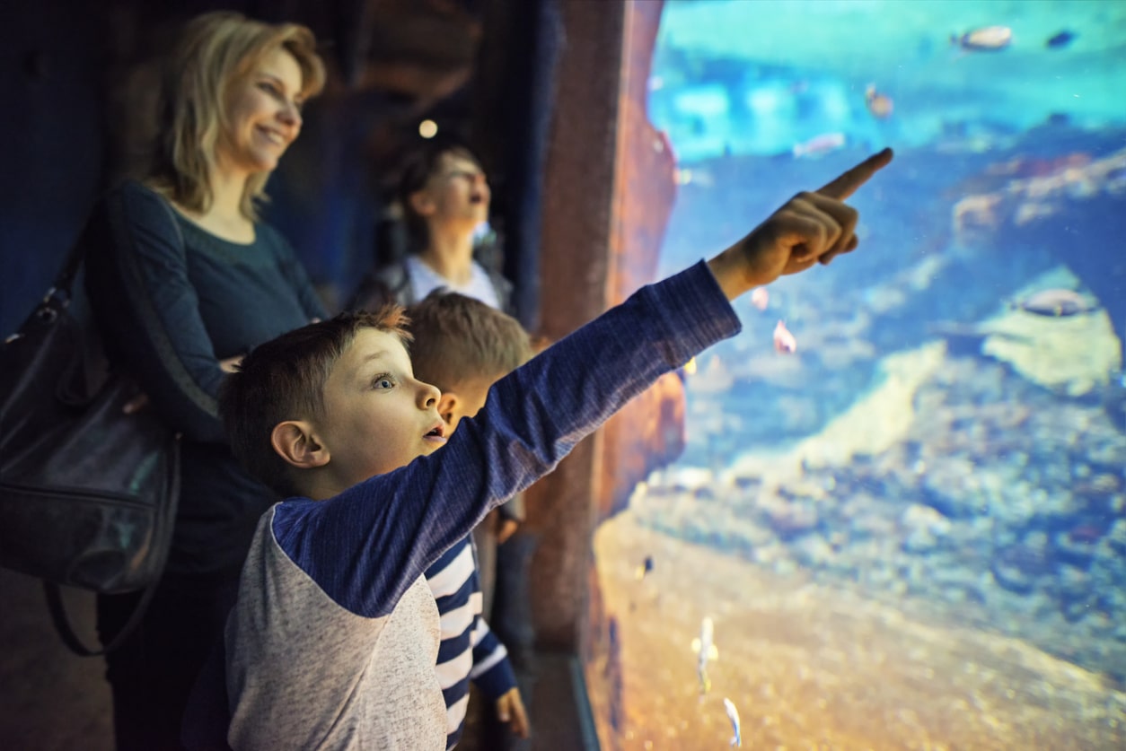 Famille observant les poissons dans un grand aquarium