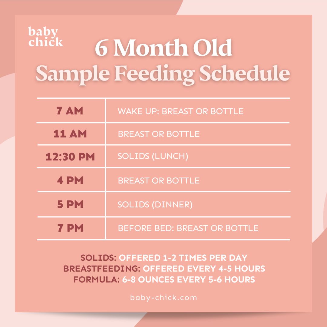 Exemple de planning alimentaire pour un bébé de 6 mois