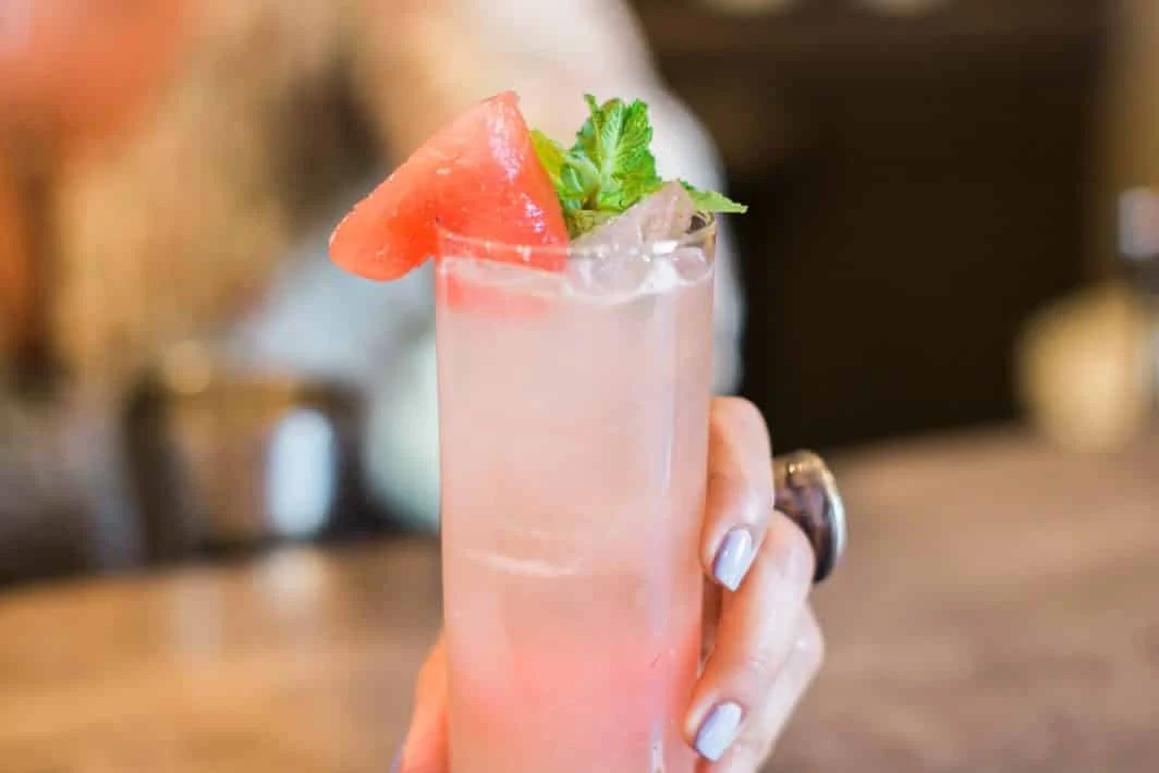 Recette Mojito à la Pastèque : Version Cocktail et Mocktail pour toute la Famille - Vie de Famille & Organisation